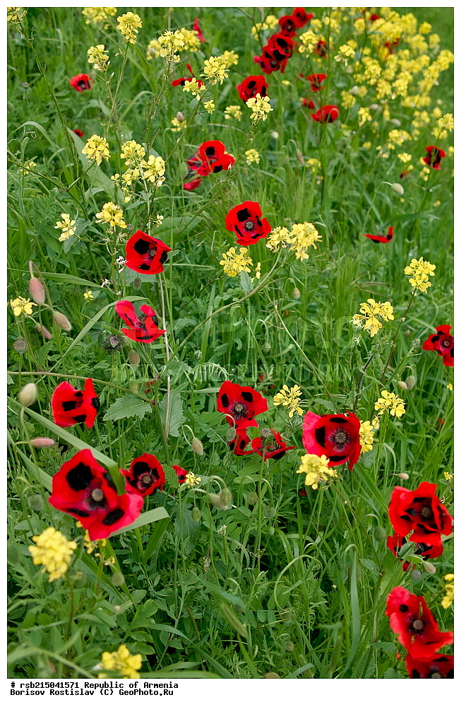 ����� ������, ����������, ���������� �������, ������, ������, ������, �������, ����, �������������