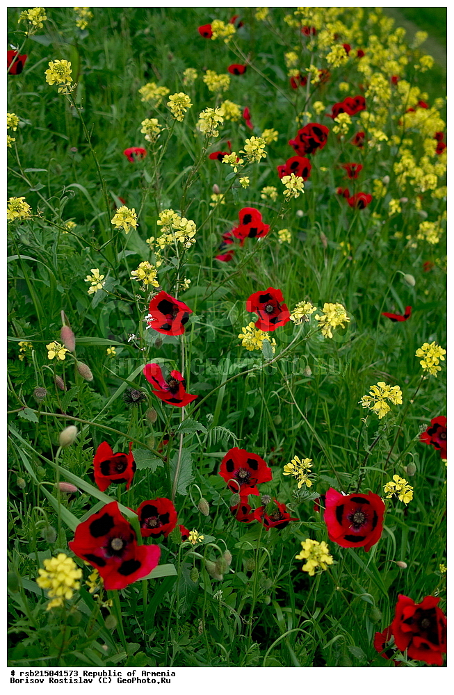 ����� ������, ����������, ���������� �������, ������, ������, ������, �������, ����, �������������