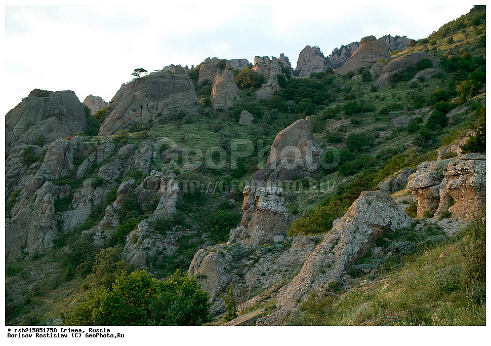 ��������, ������ ����������, ������, ����, �������� ����������