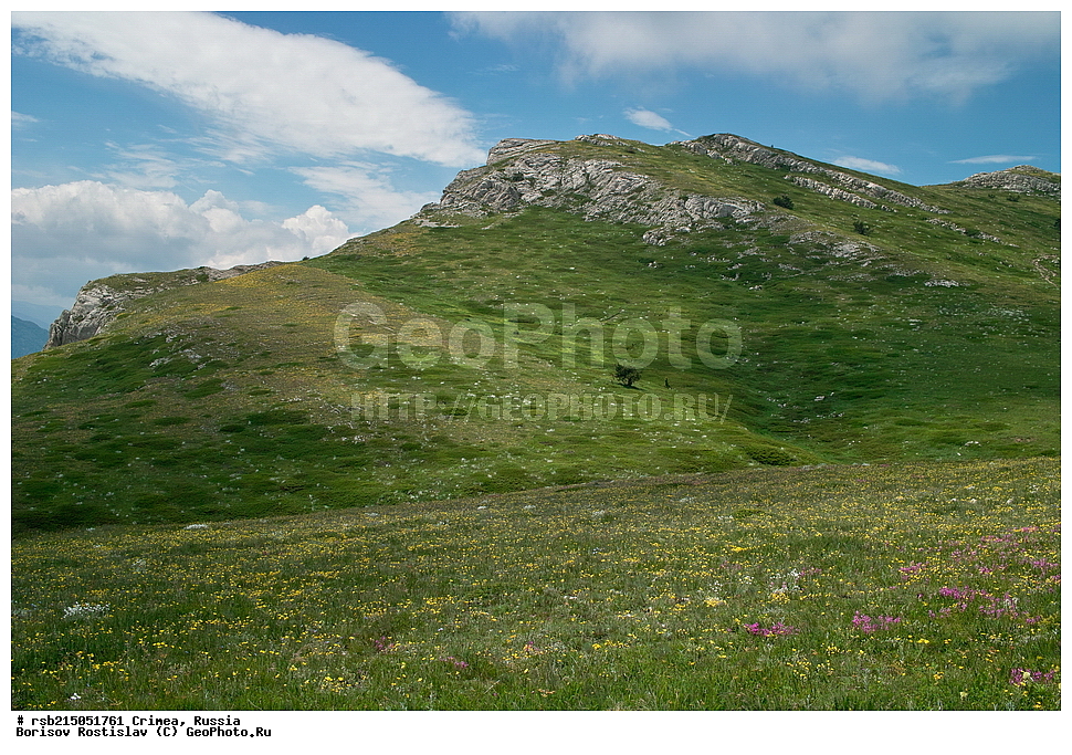 �����, �����-���, ��������, ������, ����, �������� ����������