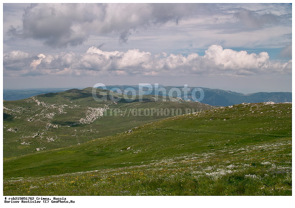 �����, �����-���, ��������, ������, ����, �������� ����������