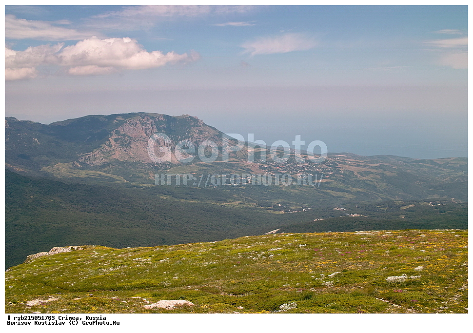 �����, �����-���, ��������, ������, ����, �������� ����������