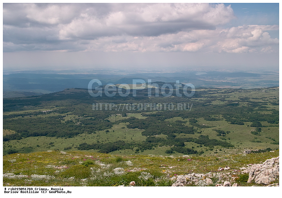 �����, �����-���, ��������, ������, ����, �������� ����������