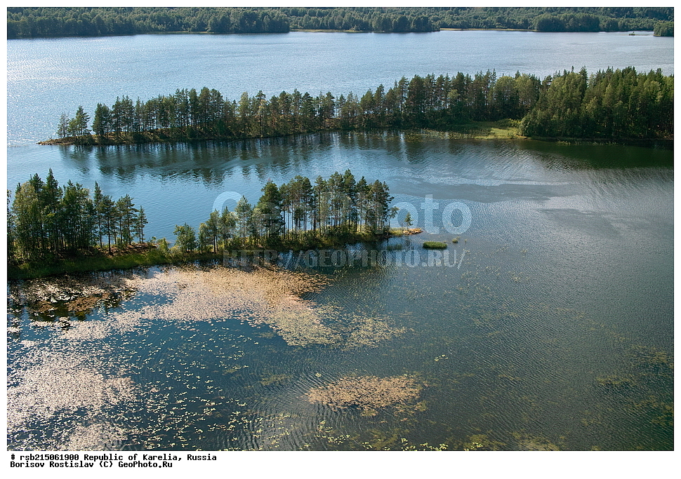 ���� �������, �������� ��������, �������� �����, ���������� �������, ������