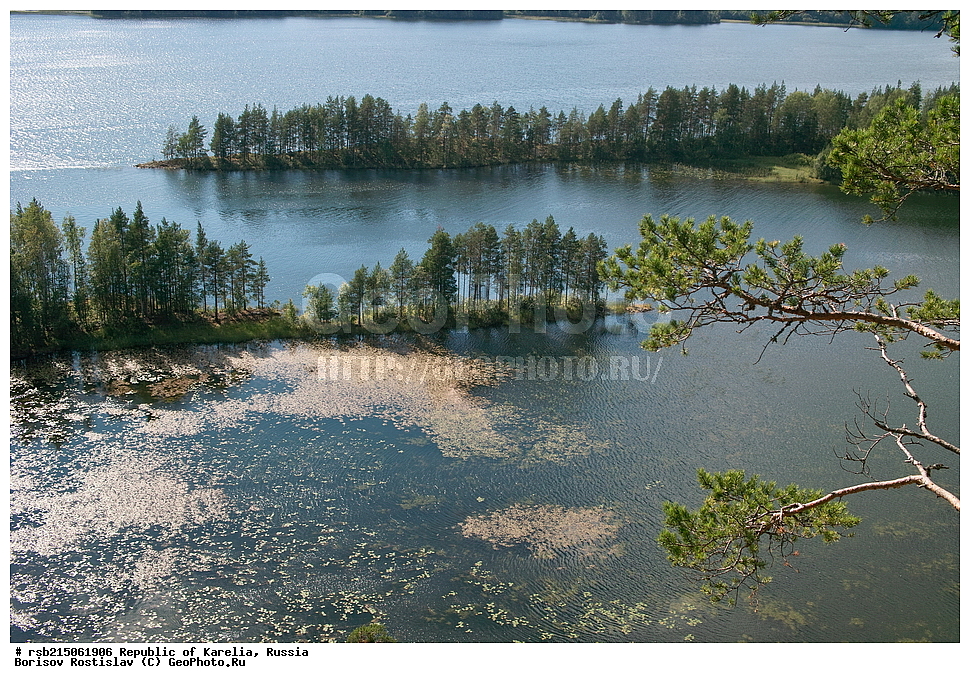 ���� �������, �������� ��������, �������� �����, ���������� �������, ������