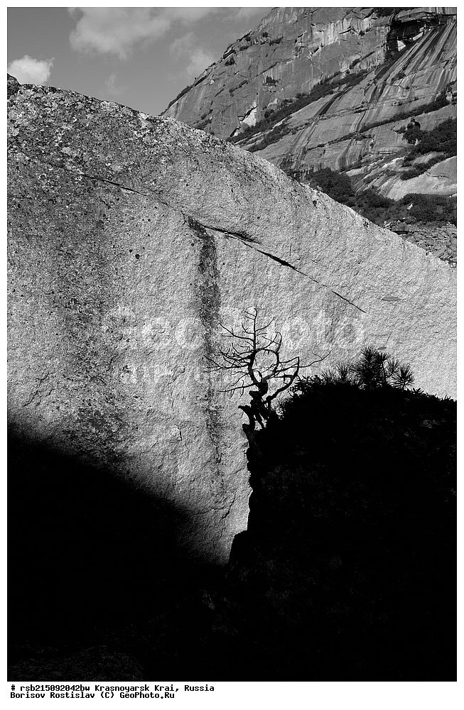 ����� ������ �����, ������, ����, ������������ ����, ������