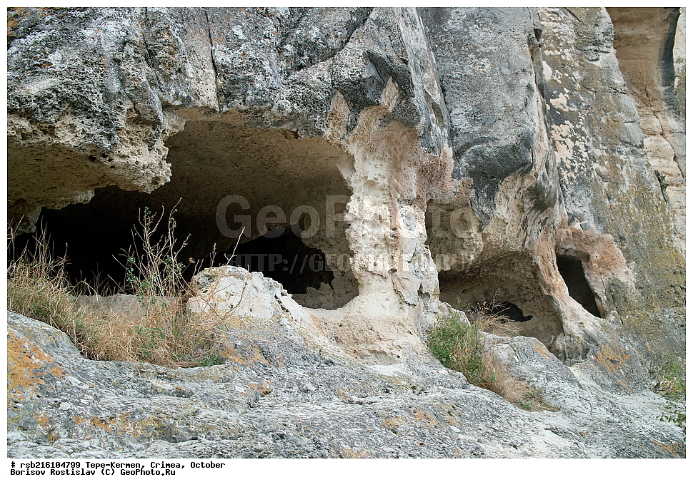 �����, �������, ����-������, ����