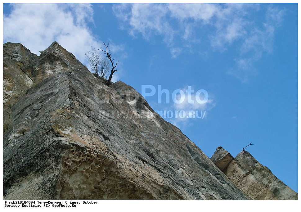 �����, �������, ����-������, ����