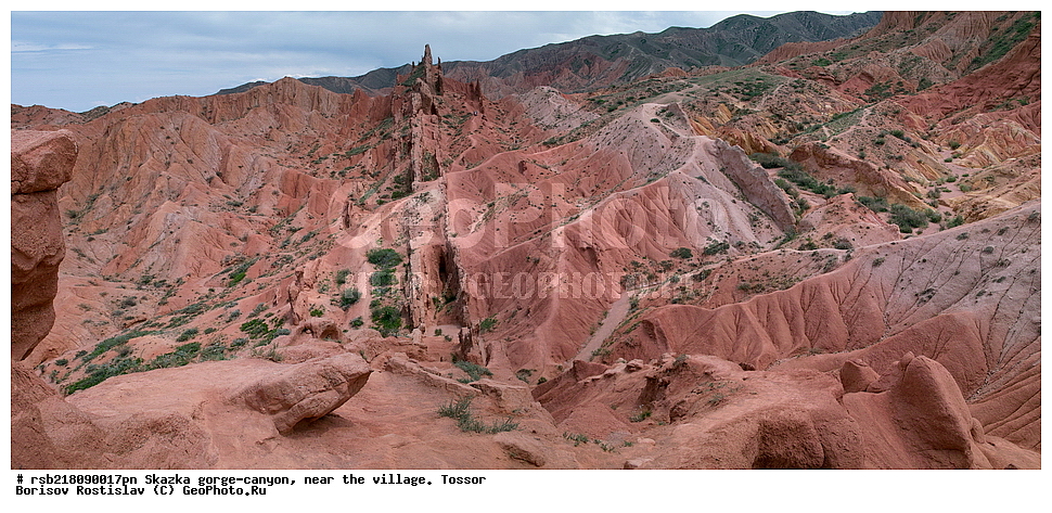 ��������, ������� ����, ������ ������,  �������, ������