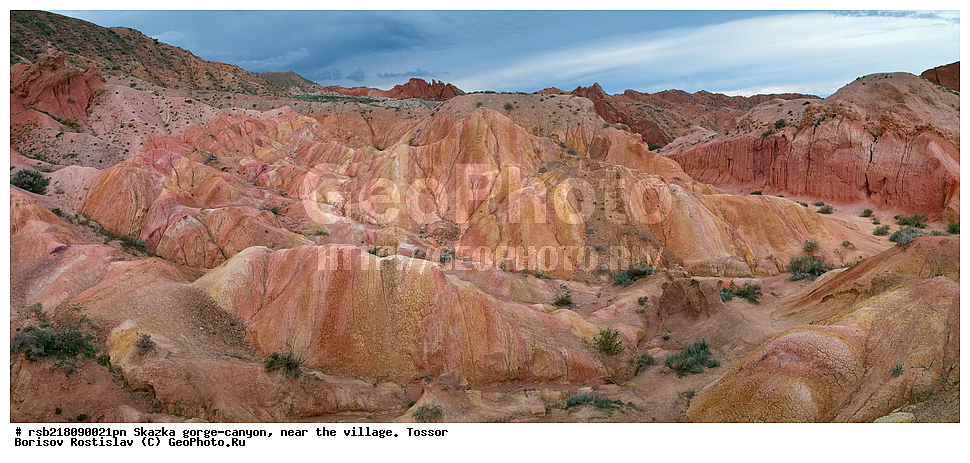 ��������, ������� ����, ������ ������,  �������, ������