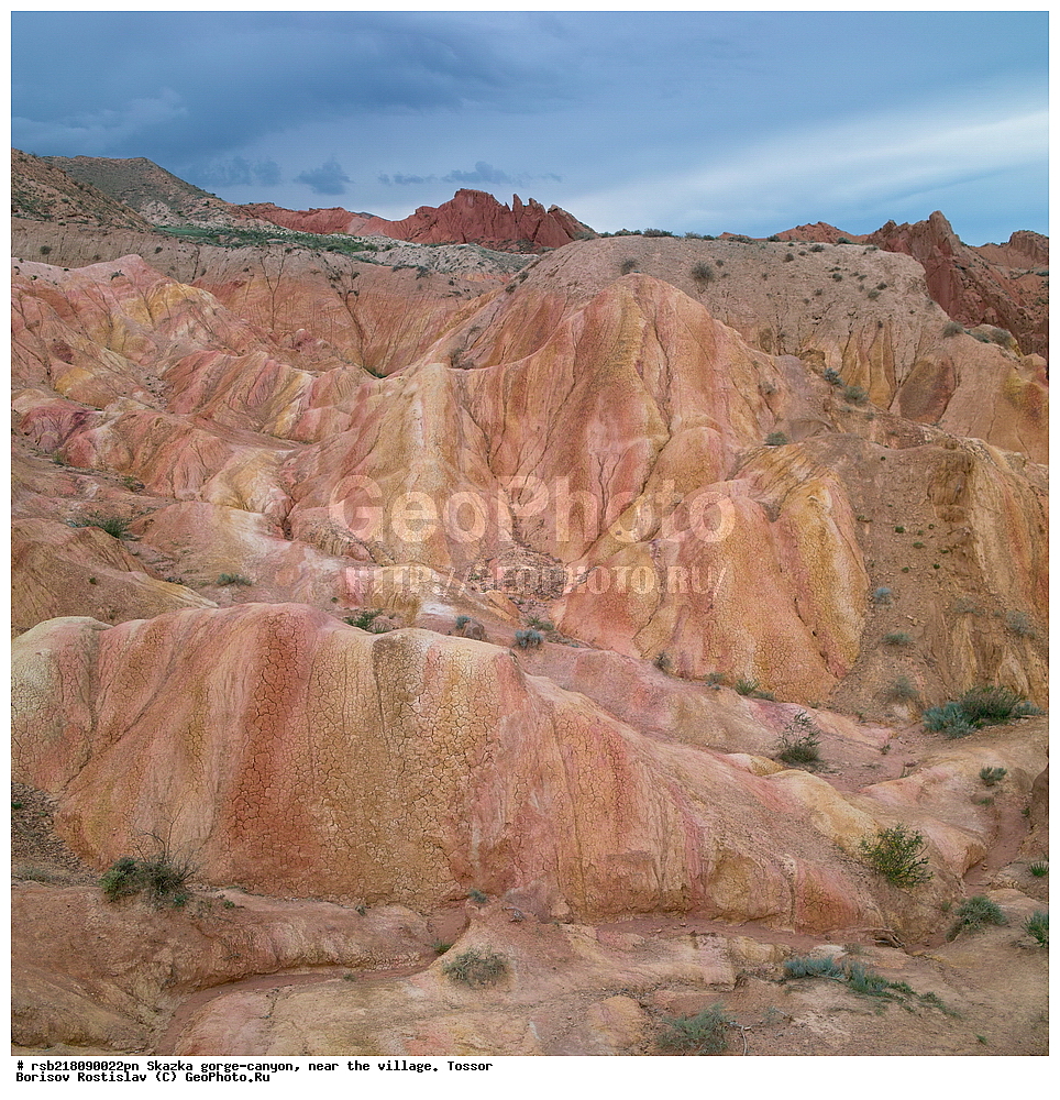 ��������, ������� ����, ������ ������,  �������, ������