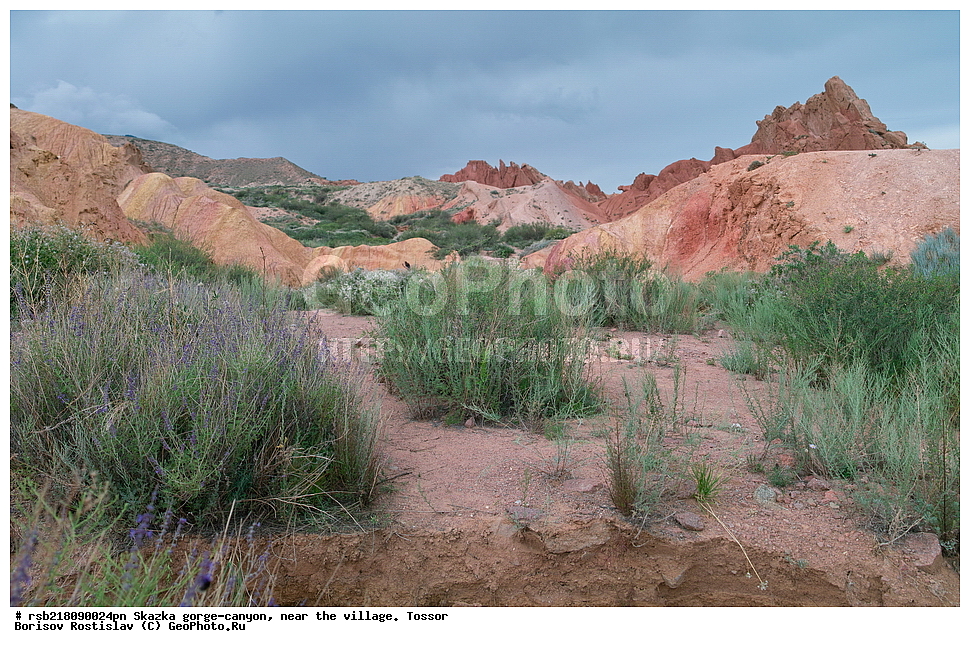 ��������, ������� ����, ������ ������,  �������, ������