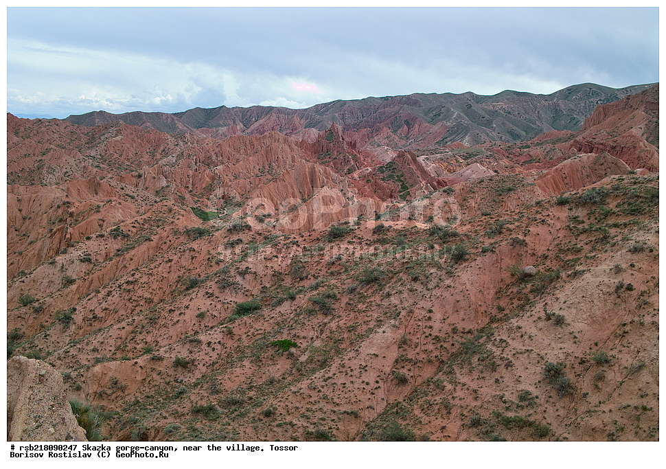 ��������, ������� ����, ������ ������,  �������, ������