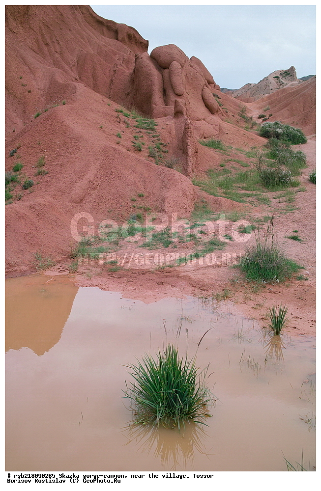 ��������, ������� ����, ������ ������,  �������, ������