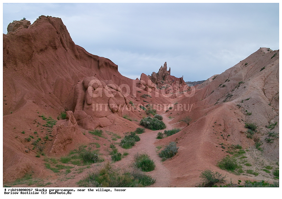 ��������, ������� ����, ������ ������,  �������, ������