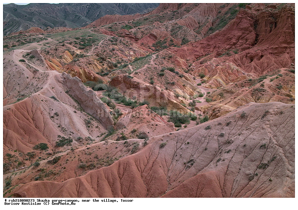 ��������, ������� ����, ������ ������,  �������, ������