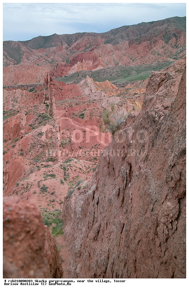 ��������, ������� ����, ������ ������,  �������, ������