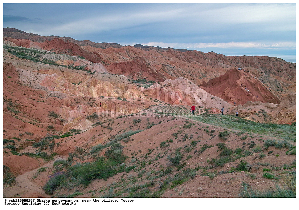 ��������, ������� ����, ������ ������,  �������, ������