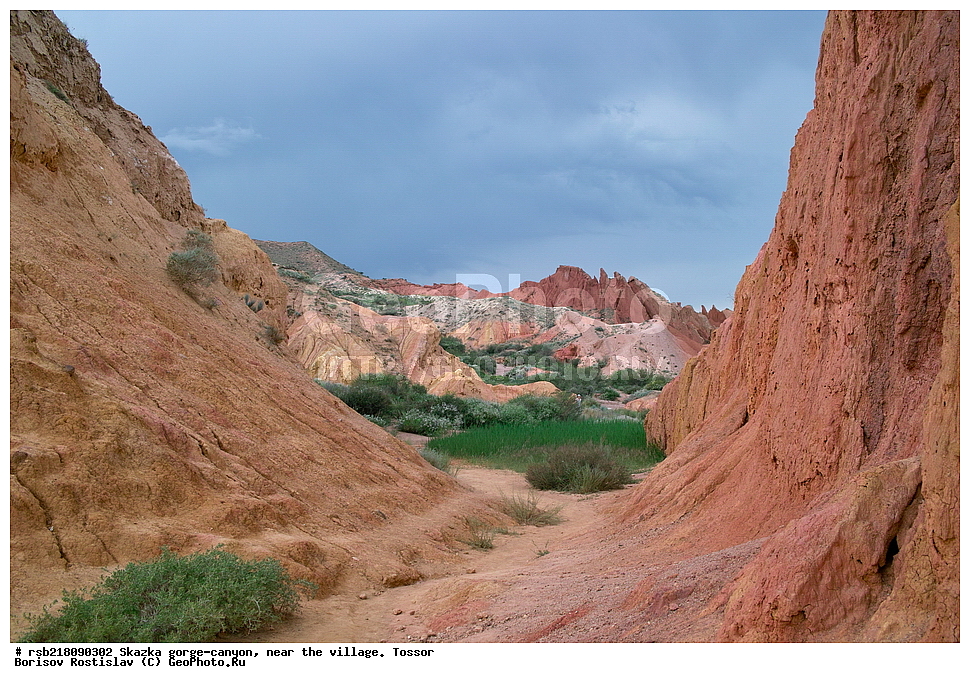 ��������, ������� ����, ������ ������,  �������, ������