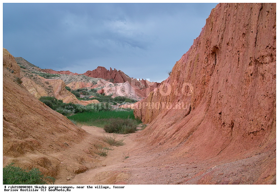 ��������, ������� ����, ������ ������,  �������, ������