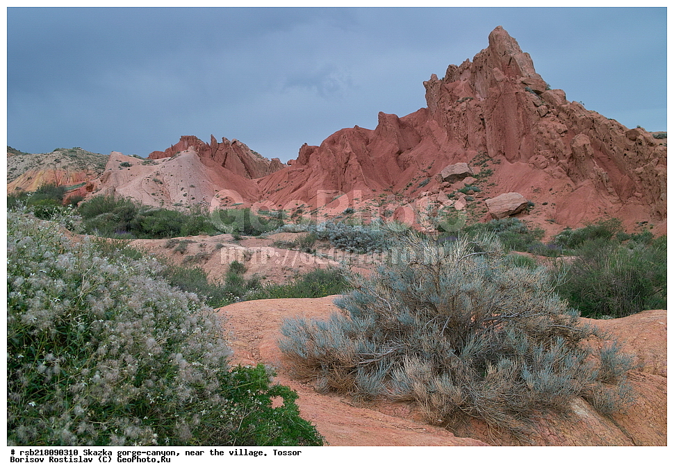 ��������, ������� ����, ������ ������,  �������, ������