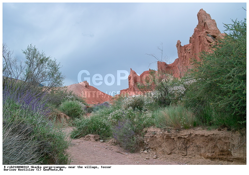 ��������, ������� ����, ������ ������,  �������, ������