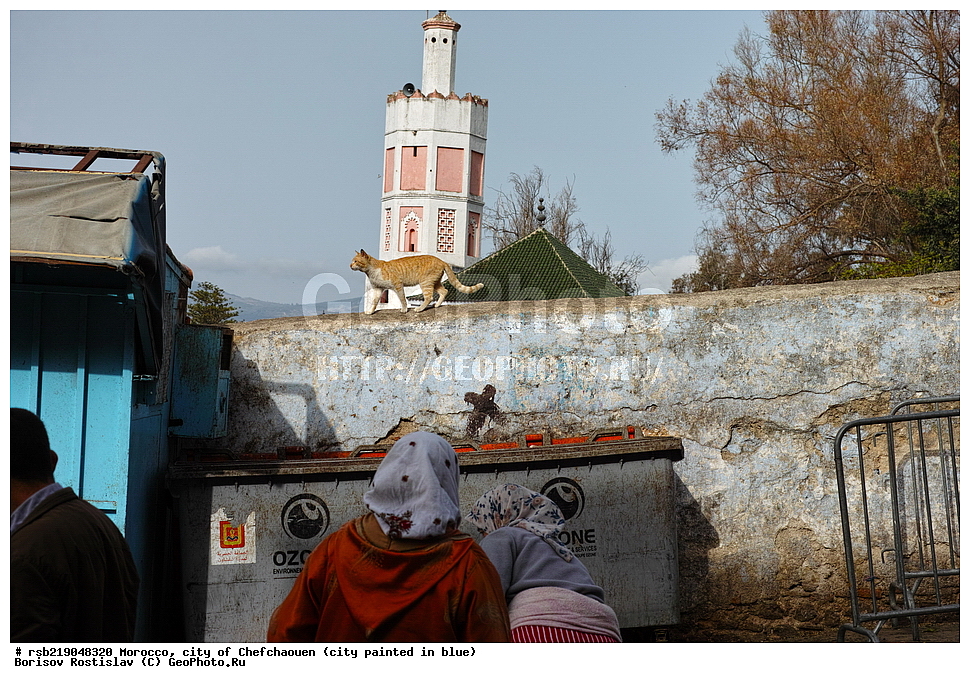 �������, ������� �����, �������