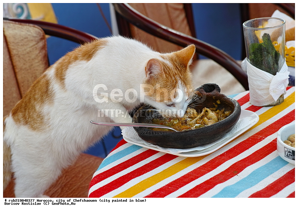 �������, ������� �����, �������