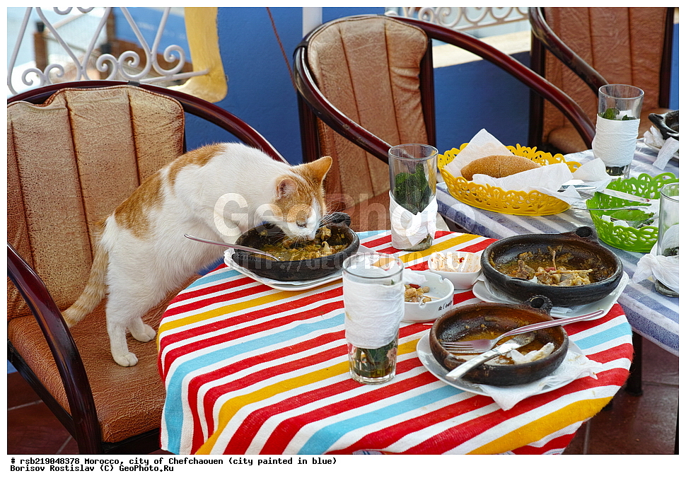 �������, ������� �����, �������