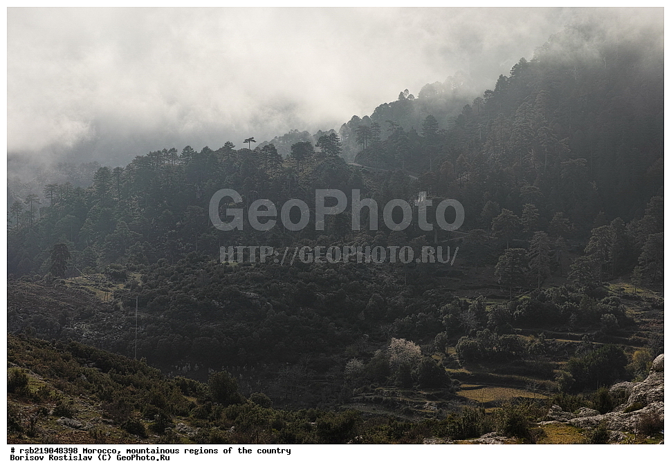 �������, ����