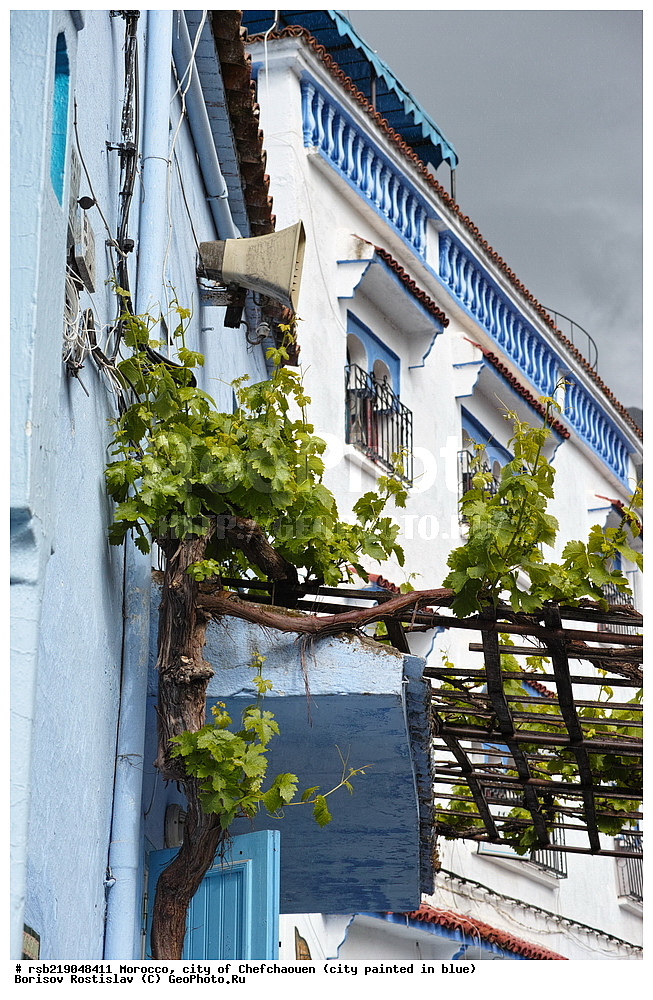 �������, ������� �����, �������