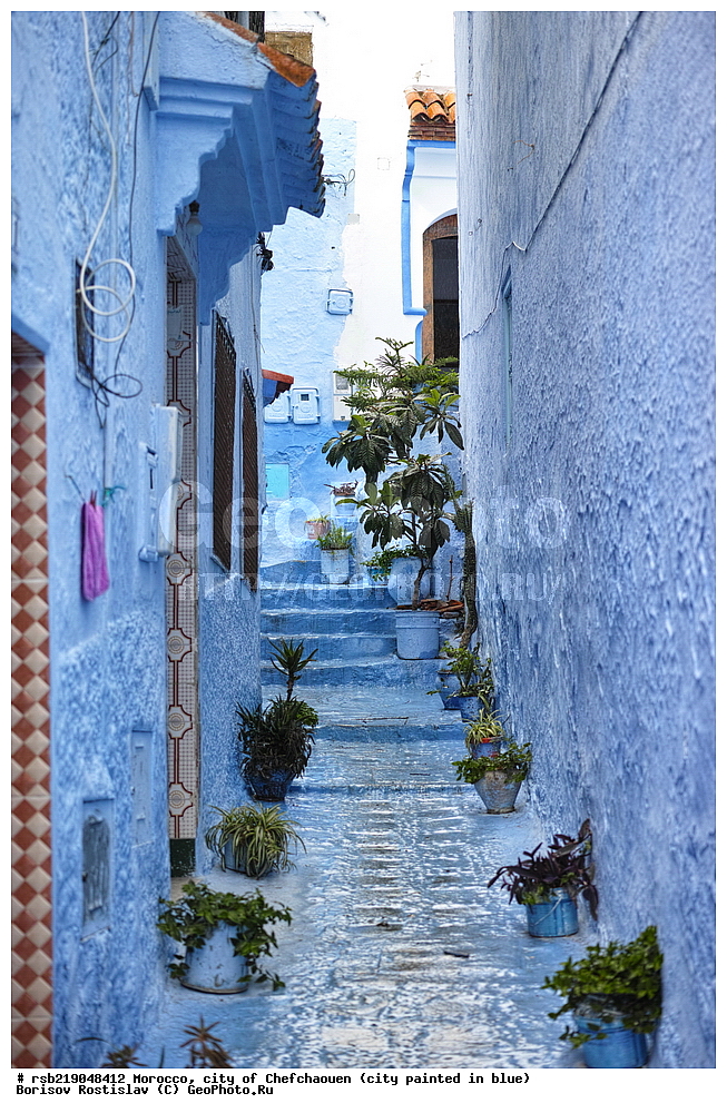 �������, ������� �����, �������