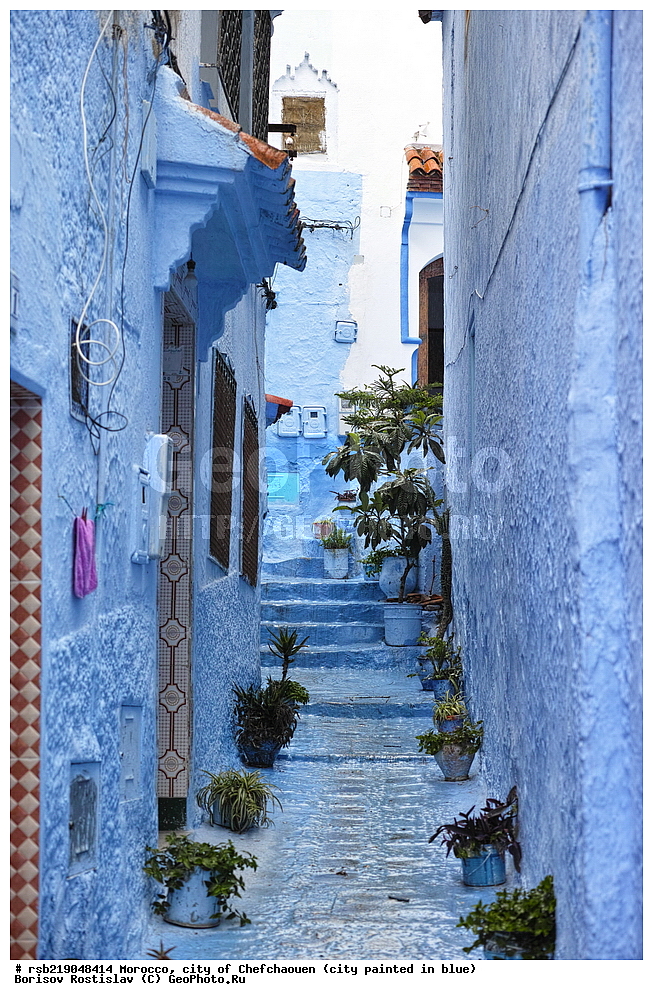 �������, ������� �����, �������