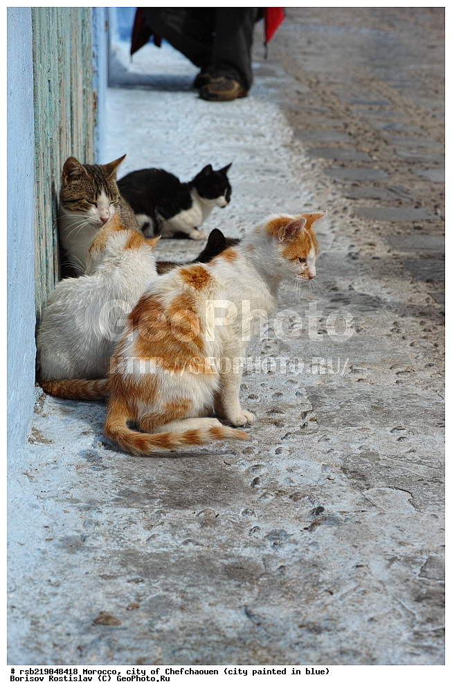 �������, ������� �����, �������