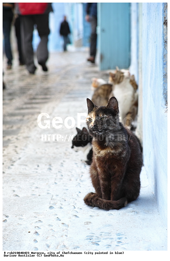 �������, ������� �����, �������