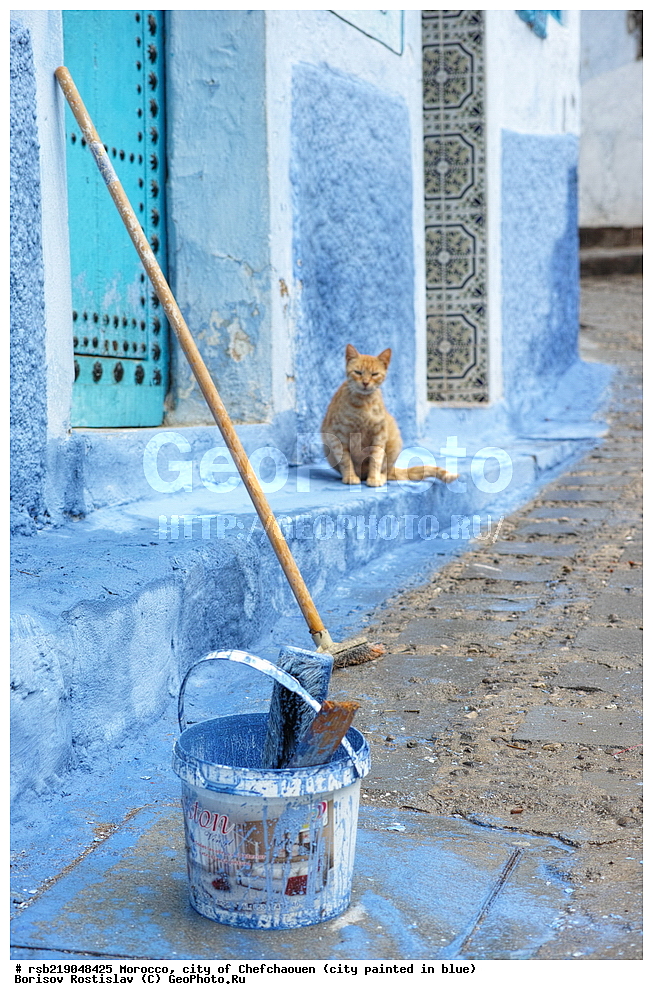 �������, ������� �����, �������