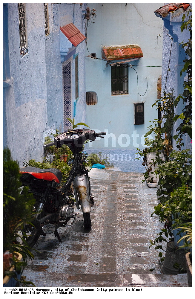 �������, ������� �����, �������