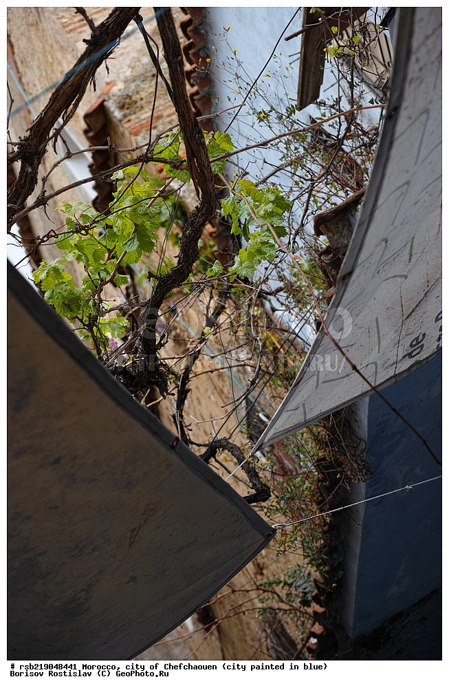 �������, ������� �����, �������