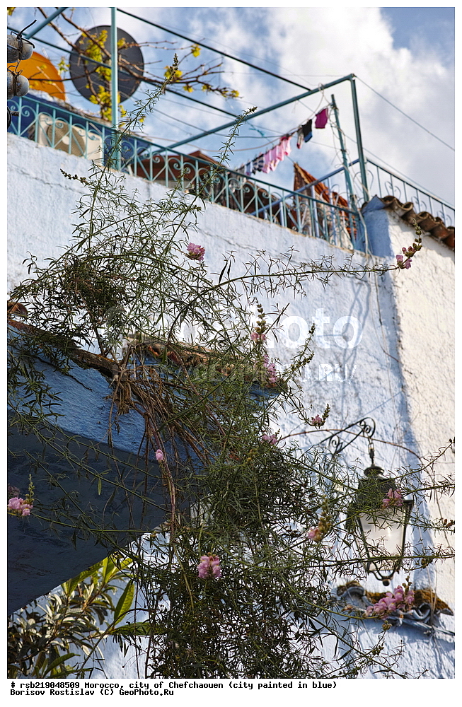 �������, ������� �����, �������