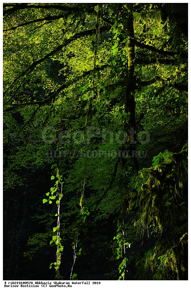 ��������, ����������� �������