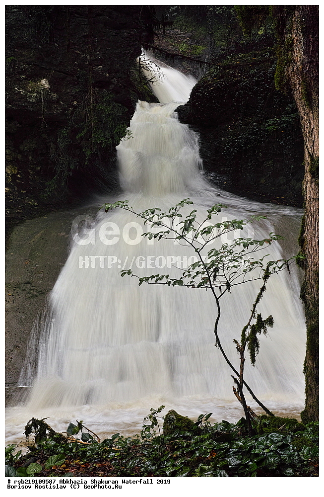 ��������, ����������� �������