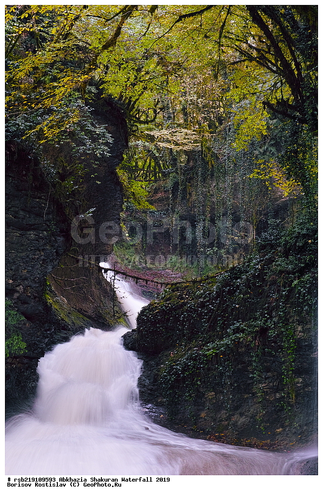 ��������, ����������� �������