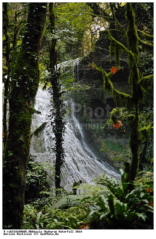 ��������, ����������� �������