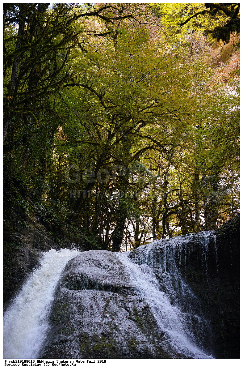 ��������, ����������� �������