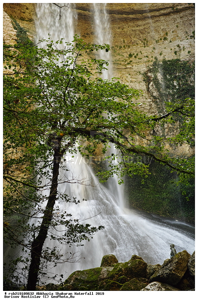 ��������, ����������� �������