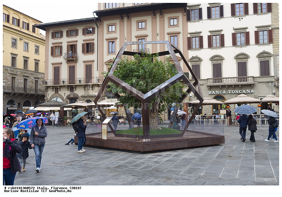 ������,  ��������� 