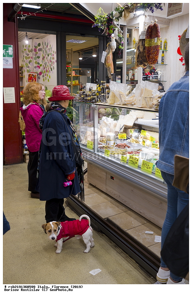 ������,  ��������� 