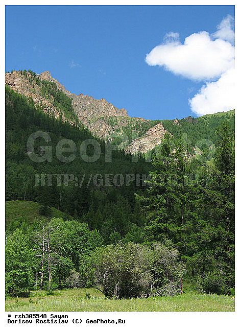 ��������� ����, ����, �����, ������ ������, ����, ������