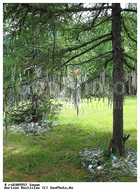 ��������� ����, ����, �����, ������