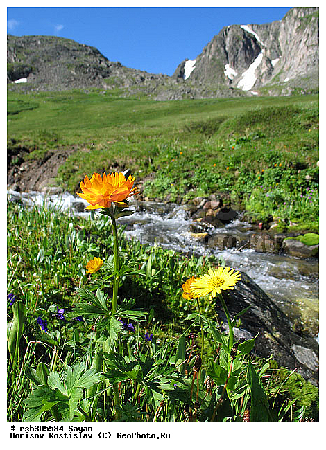 ��������� ����, ������, �������, ���������� ��������, ����, �����, ���������� ���, ������ ������, ����, �������, ����������, ������, �����, �����